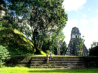 plaza.gif (42220 bytes)