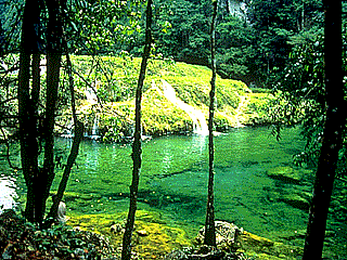 semuc.gif (48417 bytes)